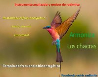 /album/fotogaleria/colibri-jpg/