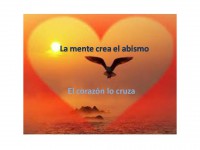 /album/fotogaleria/coraz-jpg/