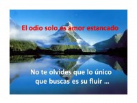 /album/fotogaleria/amor-jpg/