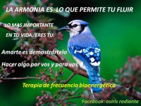 /album/fotogaleria/belleza-jpg/