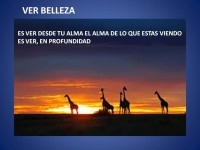 /album/fotogaleria/bell-jpg/